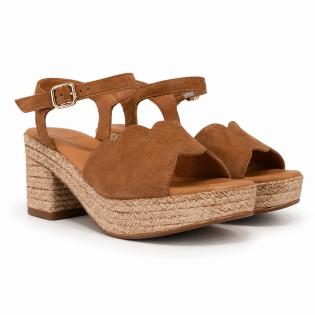 NOAM CAMEL
